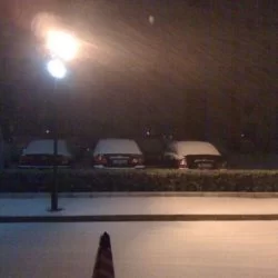 I went out of my house, the wold was all white!