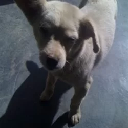 This little girl, she loves me. http://flic.kr/p/7vTPM5