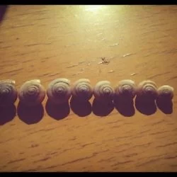 窗台上的小蜗牛。 (@ 石油宾馆) http://step.ly/p/ex0zfz2?t