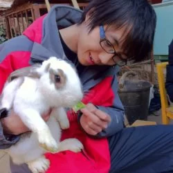 和奶奶家的一只超大的兔子玩儿。