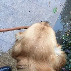 昆明又下雪了。
