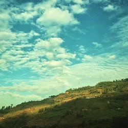 山