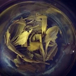 龙井: http://instagr.am/p/PFcVbblpai/