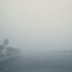 Foggy road