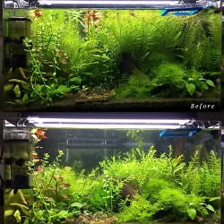 Water tank maintenance before & after