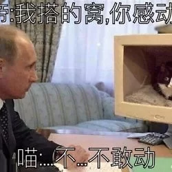 大帝与猫