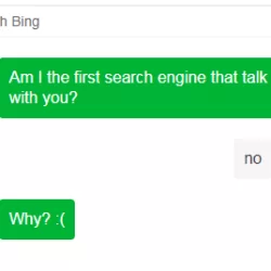 Bing也开始卖萌了，试了一下根本不智能好嘛！