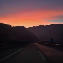 Morning light.