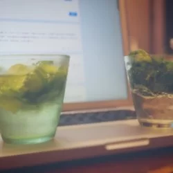 Mojito