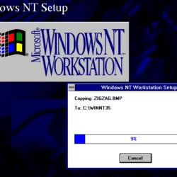 Windows family