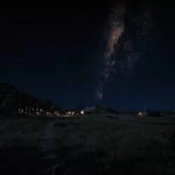 The night of th