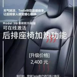 特斯拉 Model 3 这车的