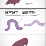 虫和鸟